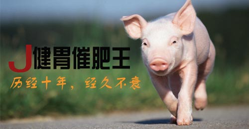 健胃催肥王,猪健胃药,猪催肥,猪催肥剂 健胃催肥王,猪健胃药,猪催肥,猪催肥剂