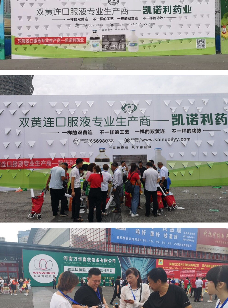 兽用双黄连,双黄连口服液,干扰素 兽用双黄连,双黄连口服液,干扰素