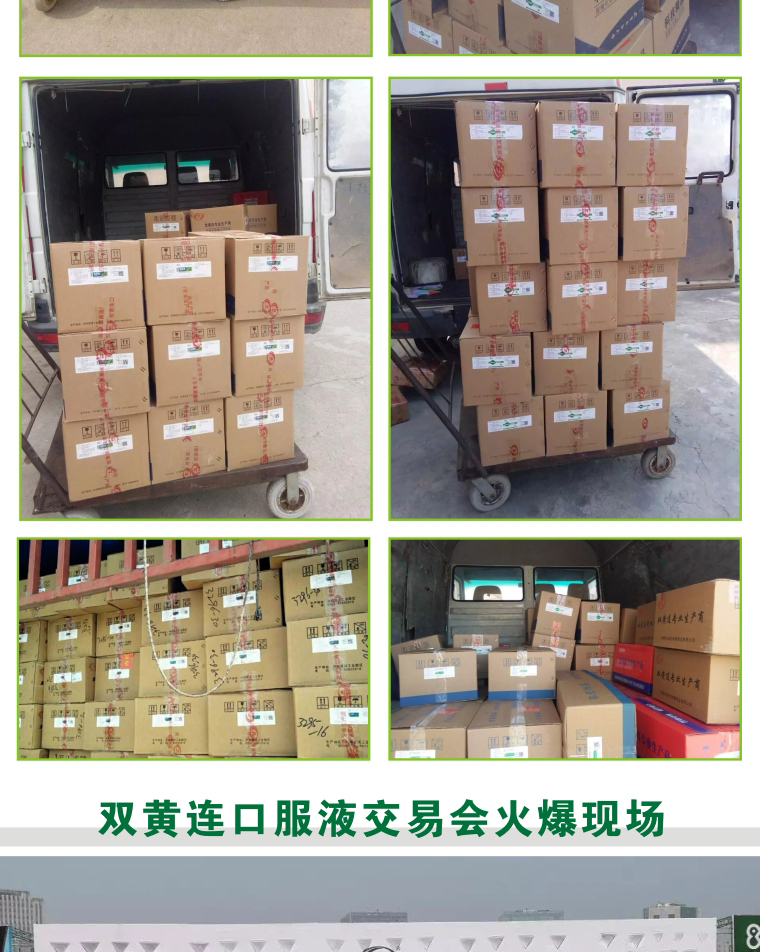 兽用双黄连,双黄连口服液,干扰素 兽用双黄连,双黄连口服液,干扰素