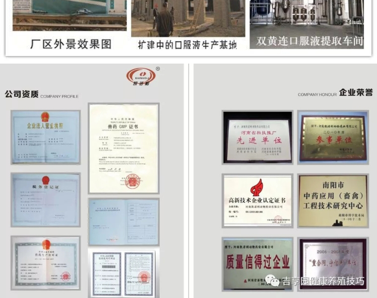 兽用双黄连,双黄连口服液,干扰素 兽用双黄连,双黄连口服液,干扰素
