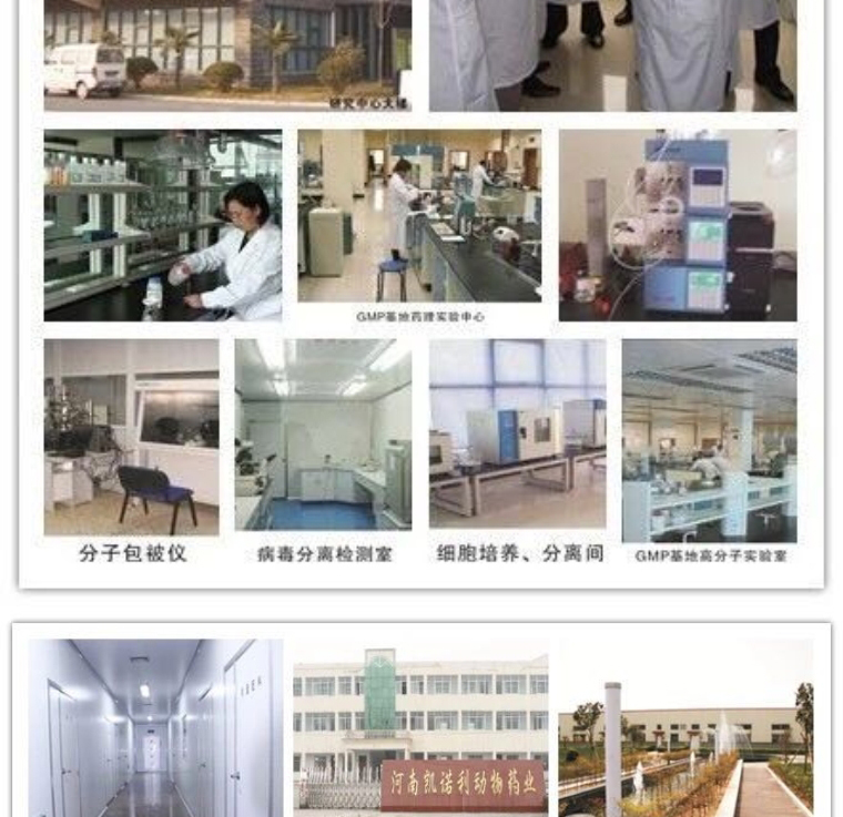 兽用双黄连,双黄连口服液,干扰素 兽用双黄连,双黄连口服液,干扰素