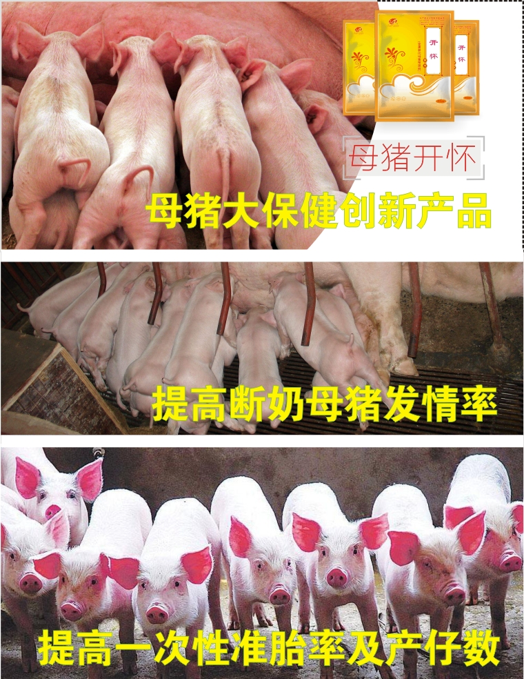母猪返情,母猪屡配不孕,母猪发情率低怎么办