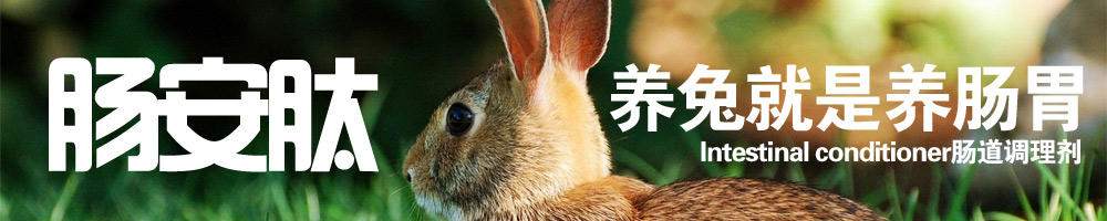 兔腹胀腹泻用肠安肽 兔腹胀腹泻用肠安肽