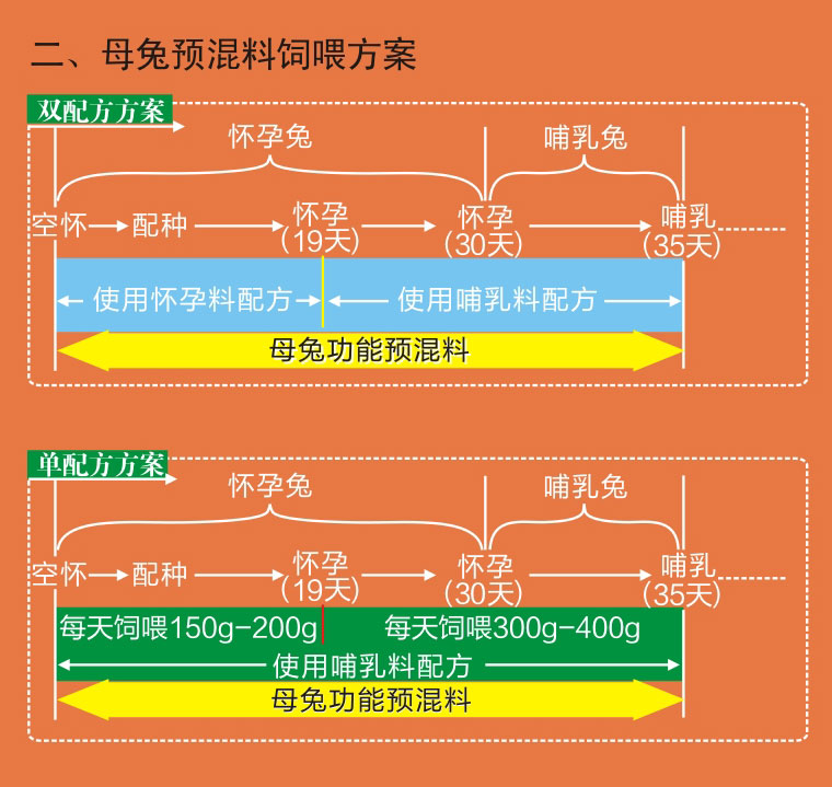 长毛兔预混料母兔饲喂方案