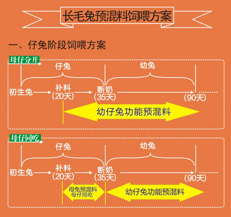 长毛兔预混料仔兔使用方案