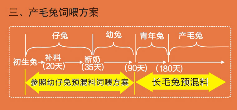 长毛兔预混料产毛兔使用方案