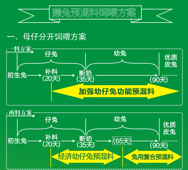 獭兔预混料仔兔饲喂方案