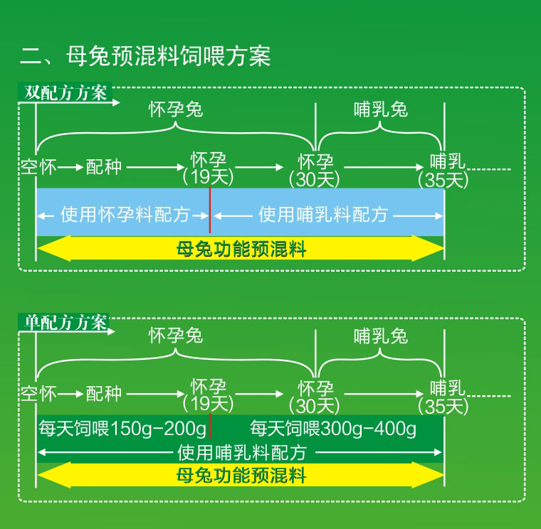 獭兔预混料母兔饲喂方案