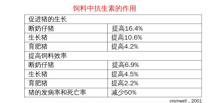 抗生素的作用