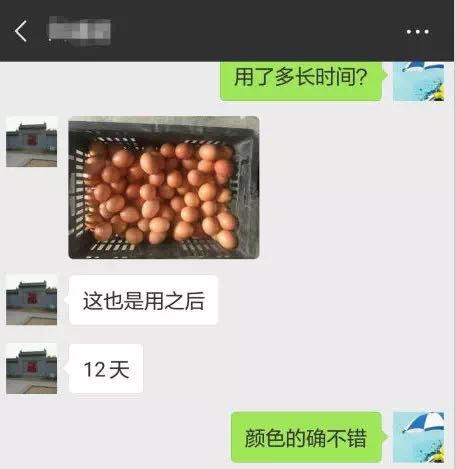 悦拥悦好,发酵中药,饲料,蛋鸡,料蛋比