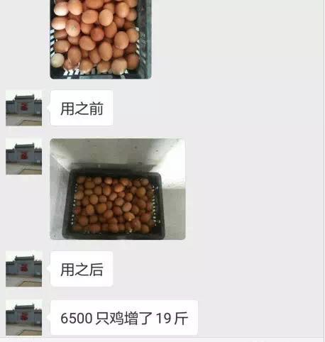 悦拥悦好,发酵中药,饲料,蛋鸡,料蛋比