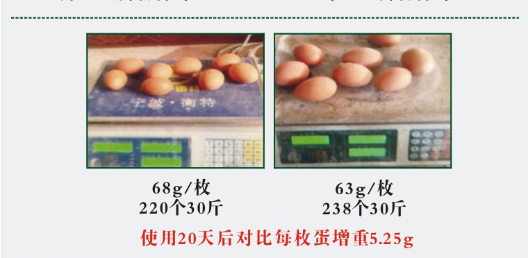 悦拥悦好,发酵中药,饲料,蛋鸡,料蛋比