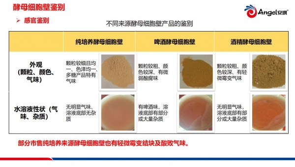 酵母在反刍动物健康养殖中的应用和鉴别