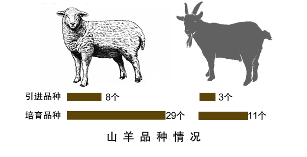我国种羊品种增加情况