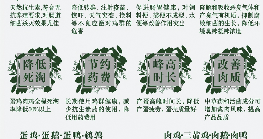 禽专用发酵中药饲料