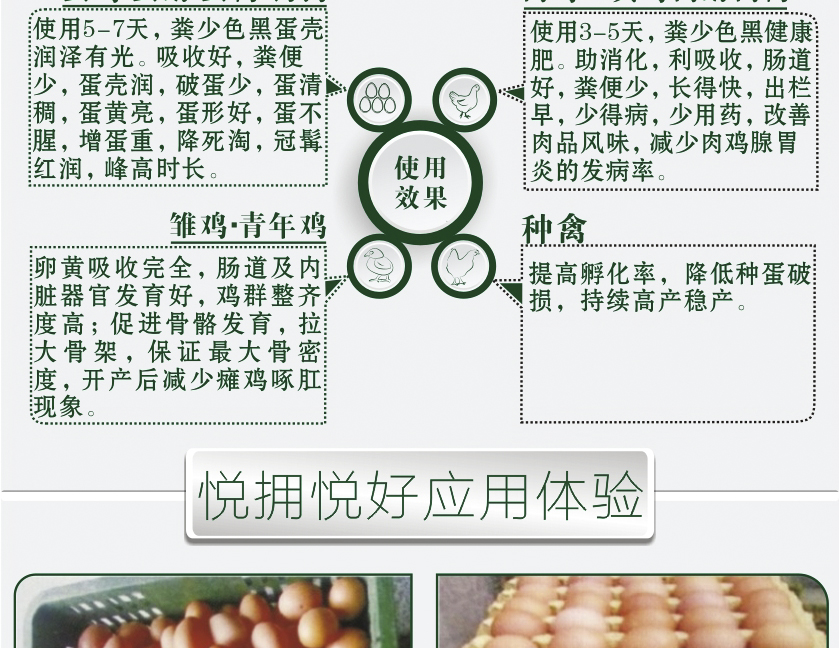 禽专用发酵中药饲料