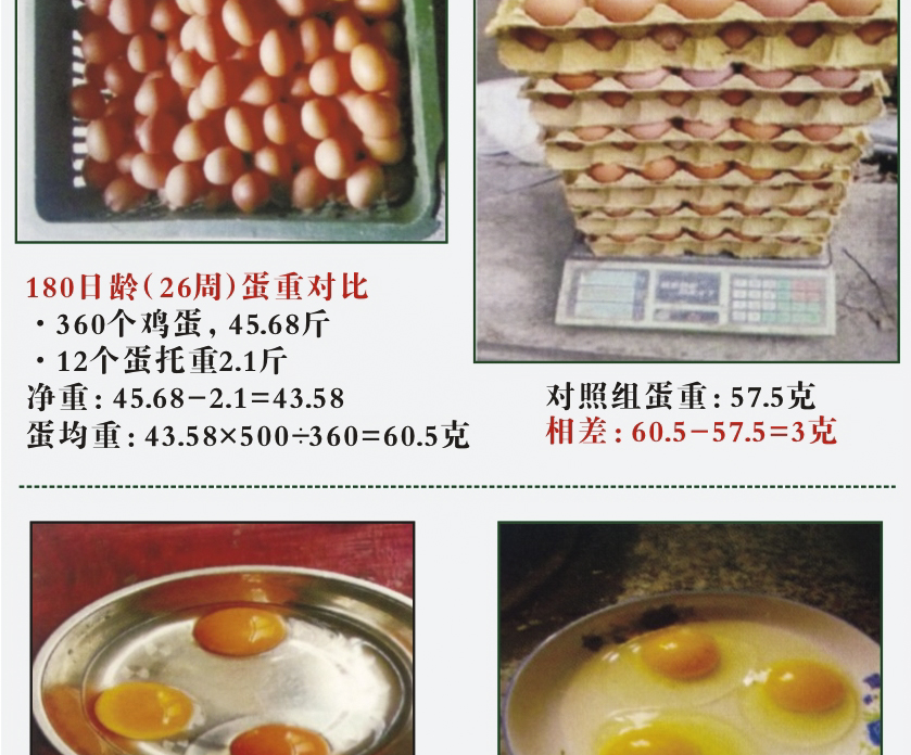禽专用发酵中药饲料