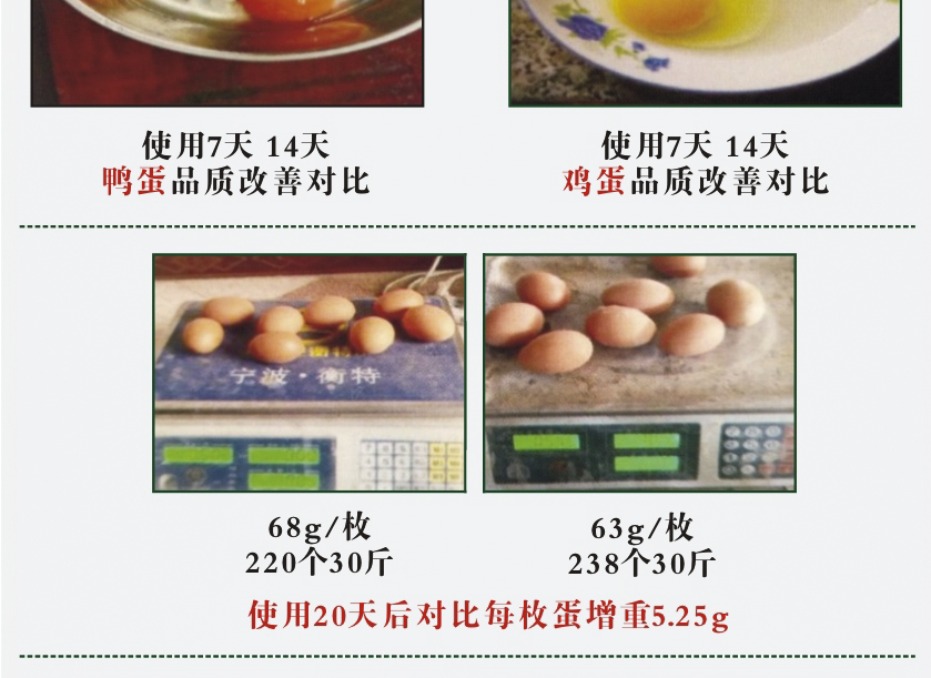 禽专用发酵中药饲料